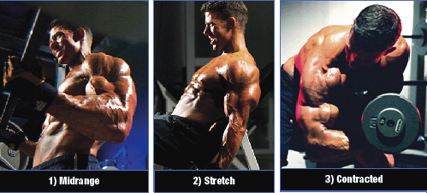 JL 3D Biceps - Ultimate Full-Range Mass Workout