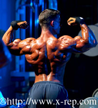 Lawson rear double biceps mirror