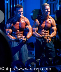 Lawson/Holman most muscular