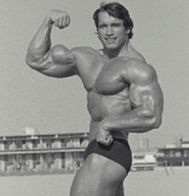 Arnold's biceps