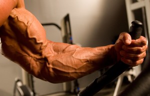 Vascular arm