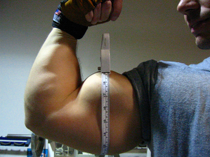 Jonathan Lawson's arm measuring over 19"