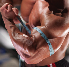 Big arm measurement - Muscle-Building Myth Exploded: Power vs. Density