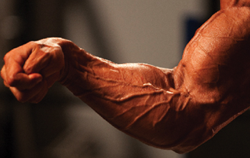 Vascular forearm - 2 Easy Ways for BIG Muscle Gains