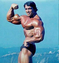 Arnold's giant biceps peak - Muscle-Building Mistake You Can't Afford to Make