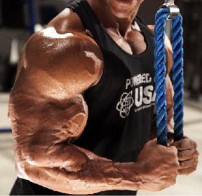 Triceps rope pushdowns (Troy Alves) - 5-Minute Blasts for Fast Arm Mass