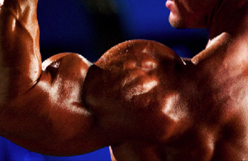 Ripped delt and arm - Once-a-Week Mass Workouts: The X-centric Shock Method