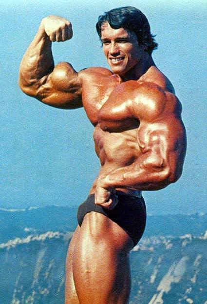 Arnold Schwarzenegger, cover photo of Education of a Bodybuilder (photo by John Balik 1974) - Moment of Bodybuilding Zen 3: Arnold’s Sky-High Biceps 