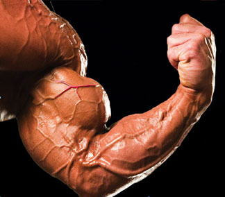 vein-streaked biceps that aren't overtrained