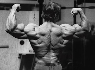Arnold's back double biceps pose