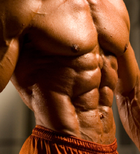 Side view of ripped abs