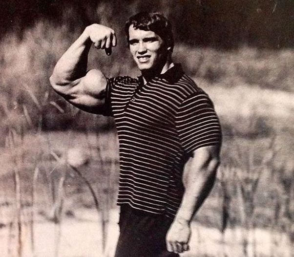 Arnold Schwarzenegger in a polo shirt flexing