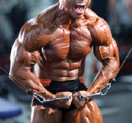 Ripped torso showing cable crossovers