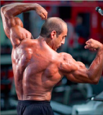 Doug Brignole in a twisting back double biceps pose.