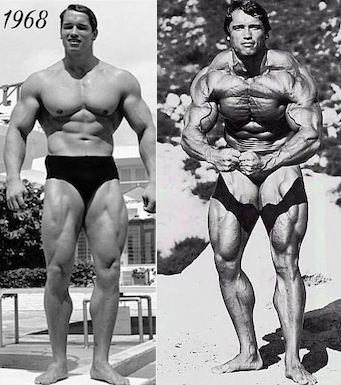 Arnold young and smooth compared to in his prime and ripped