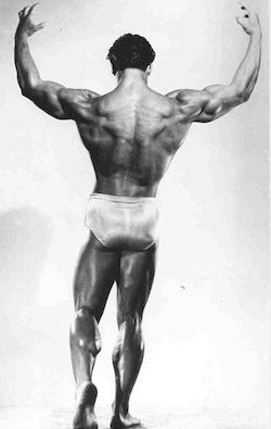 Steve Reeves doing a back pose