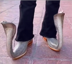 "Stylish" cobra boots