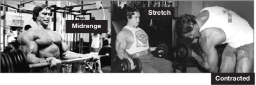 Arnold demonstrating the three positions of flexion
