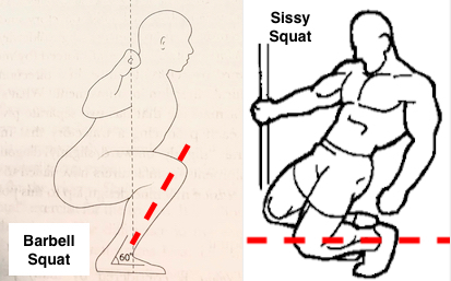 Illustration of the lever action in barbell squats vs sissy squats