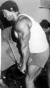 Arnold doing cable pushdowns
