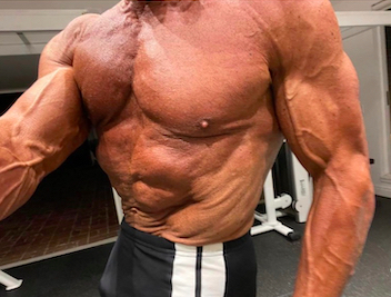 Doug Brignole's torso at 41 weeks out from competition an 184 lbs