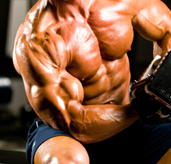 Closeup of Jonathan's arm doing concentration curls